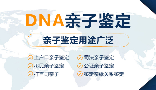 在[东营]怀孕期间需要怎么办理DNA鉴定,东营产前亲子鉴定大概需要多少钱